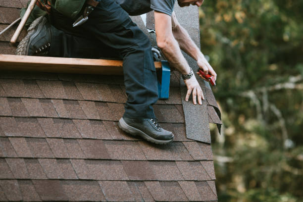 Best Storm Damage Roof Repair  in Sanborn, IA